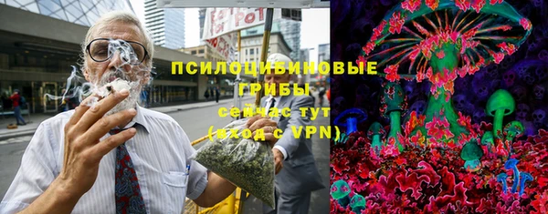 ПСИЛОЦИБИНОВЫЕ ГРИБЫ Новодвинск