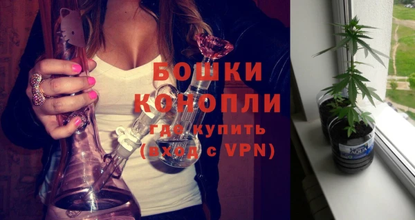 марки lsd Новозыбков