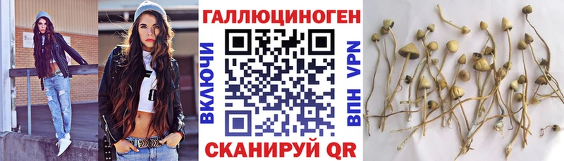 блэк спрут tor  Островной  Галлюциногенные грибы Psilocybine cubensis 