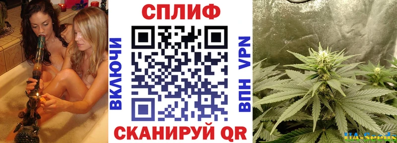 Бошки Шишки планчик  Островной 
